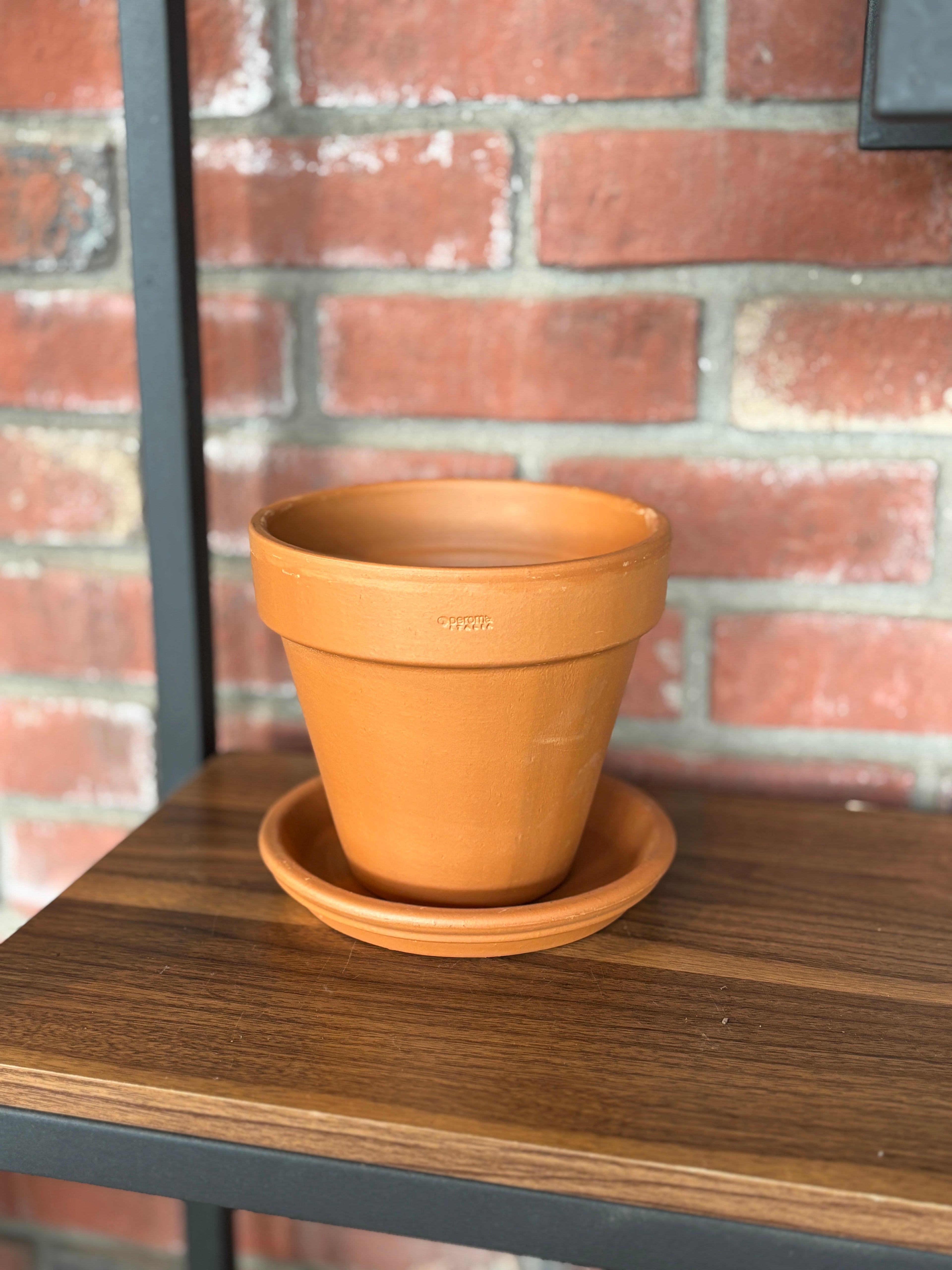 Standard 6.7" Terracotta Pot