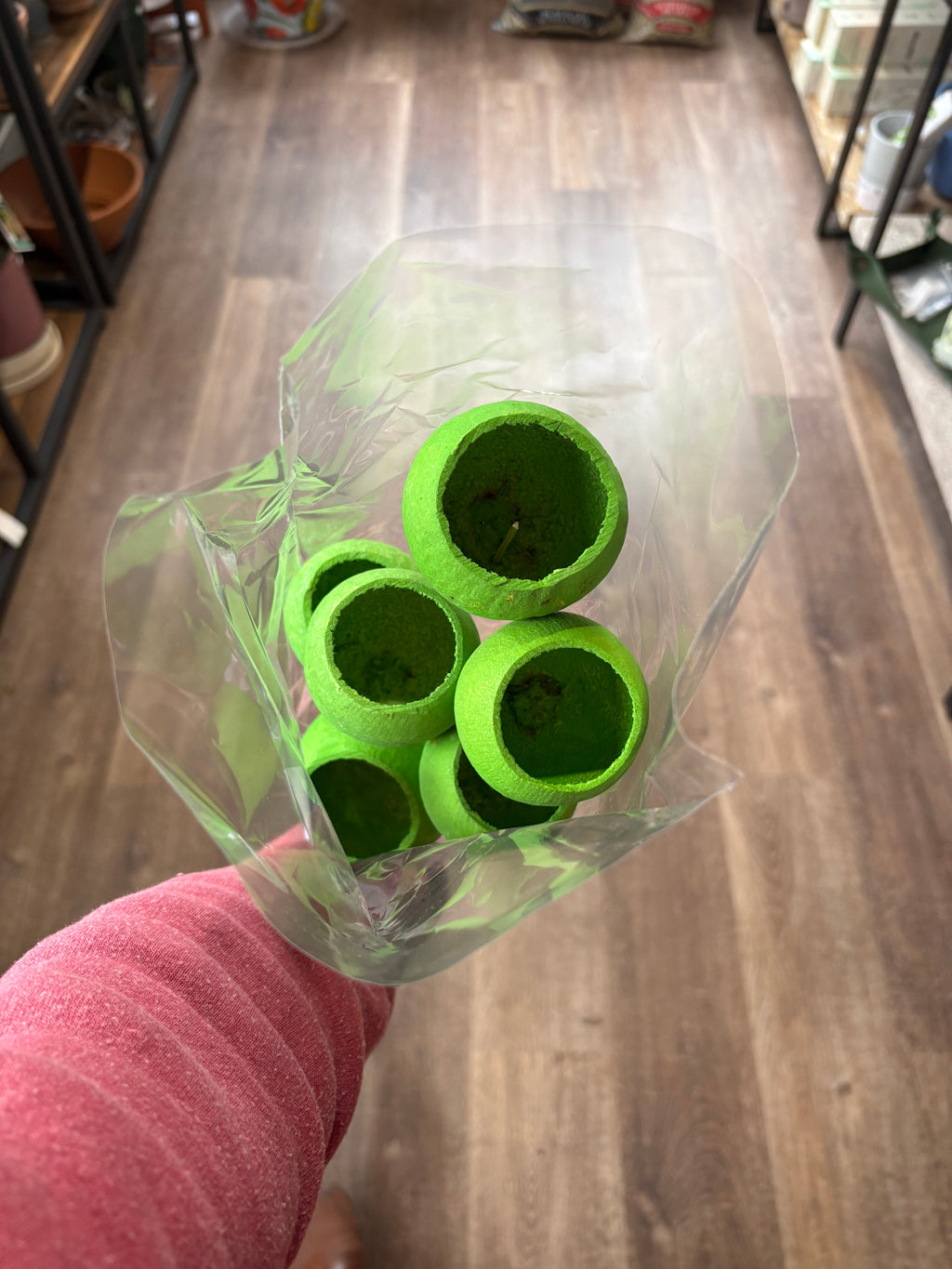 Bell Cup Basil Green 5-7/Pk