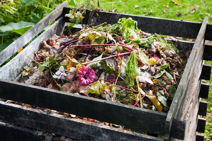 Composting 101: From Scraps To Soil