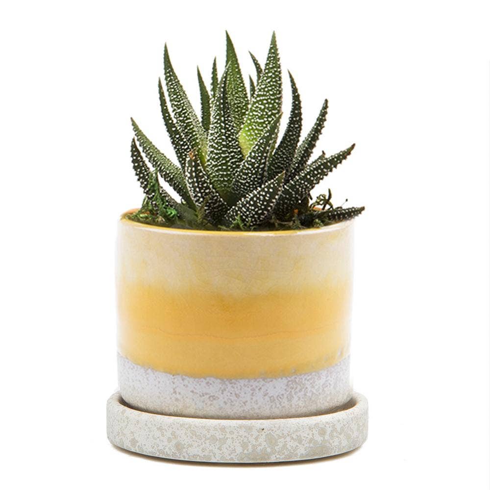 Minute Handmade Ceramic Planter Indoors Pot With Saucer: Bronze White, 5"