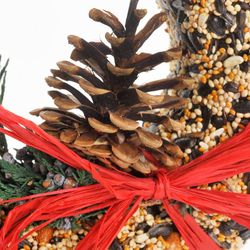 Wildfeast Bird Seed Wreath