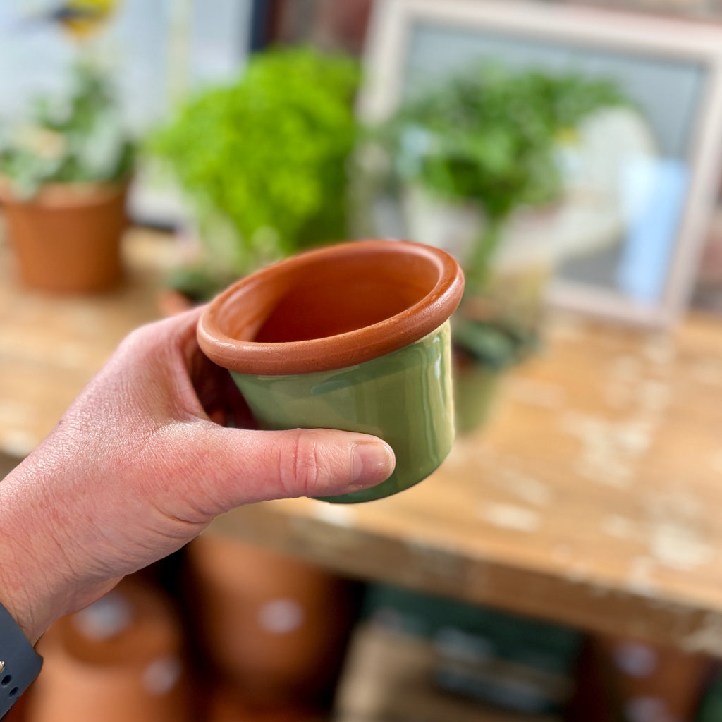 3.4" Sage Cylinder Glazed Terracotta Pot