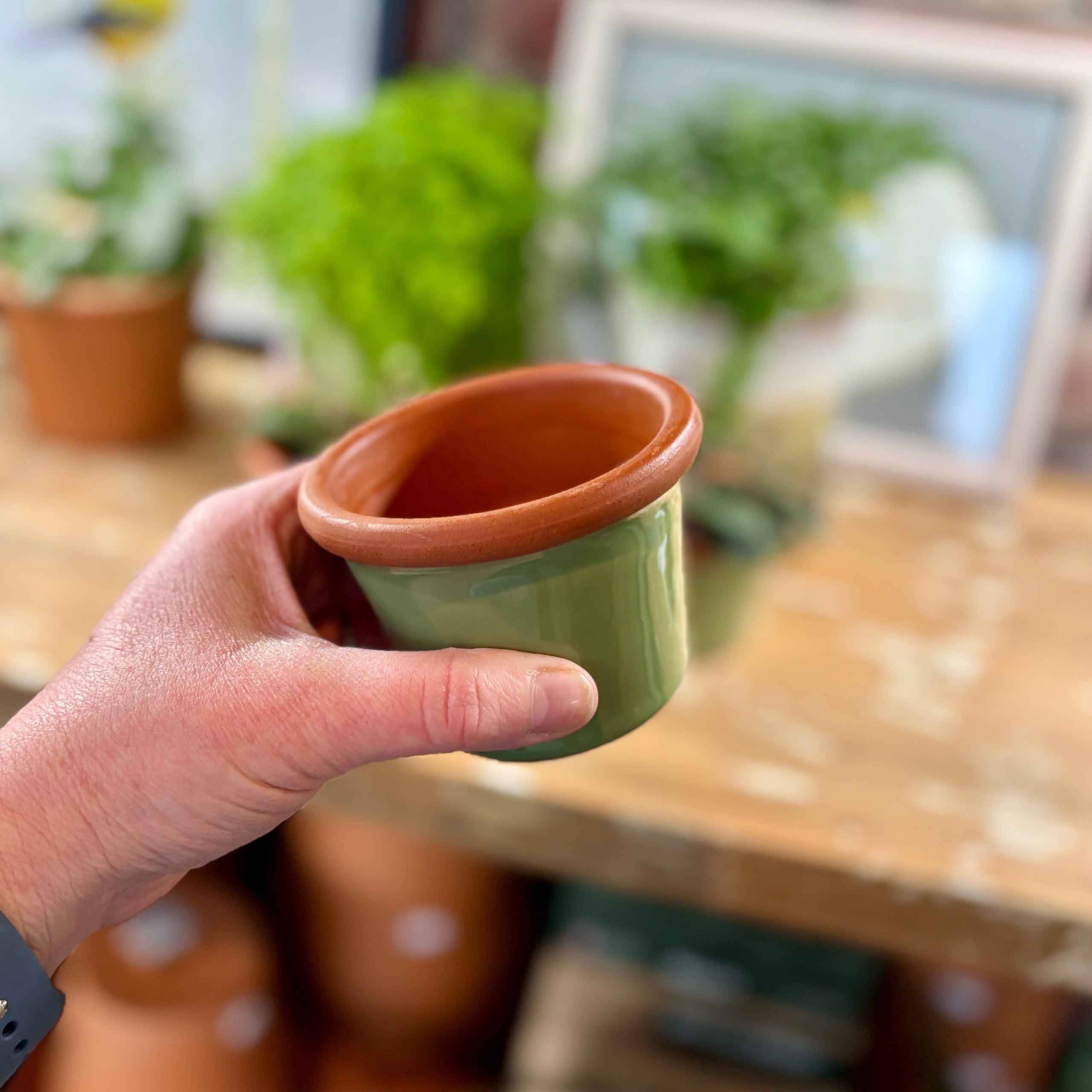 3.4" Sage Cylinder Glazed Terracotta Pot
