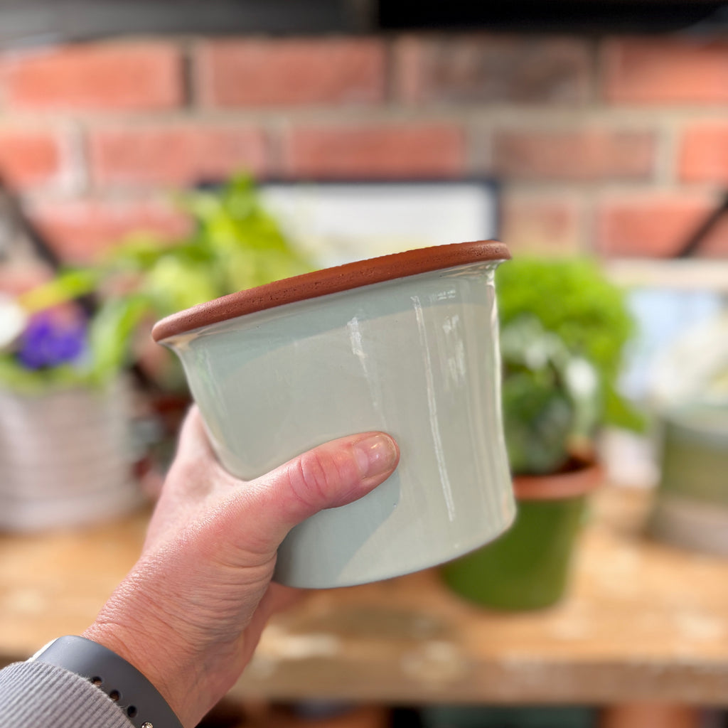 5.5" Zephyr Cylinder Glazed Terracotta Pot