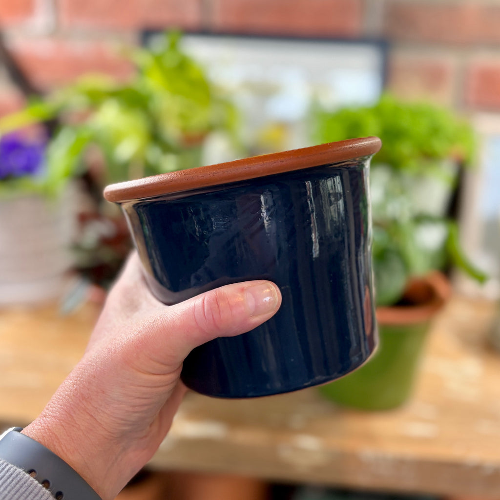 5.5" Navy Cylinder Glazed Terracotta Pot