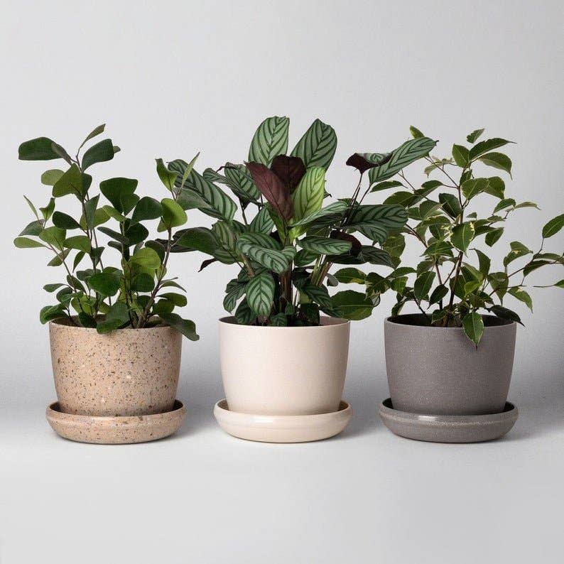 7" Upcycled Plant Pot: Bamboo Fibre White