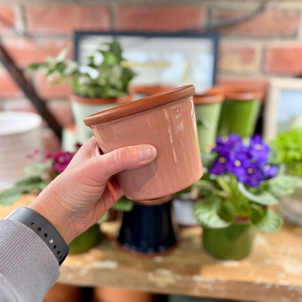 4.3" Rose Cylinder Glazed Terracotta Pot