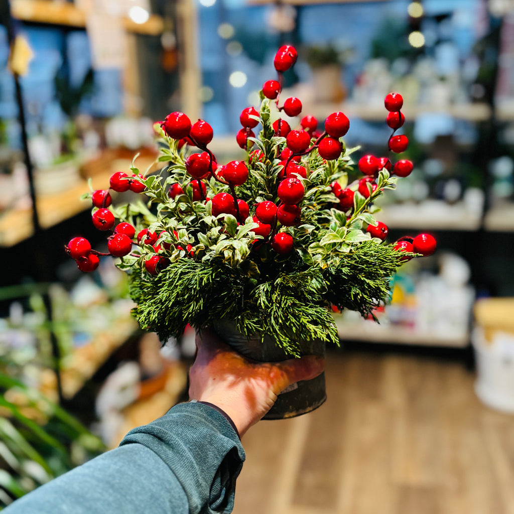 Design Your Own Holdiay Centerpiece Dec. 20Th @ 4Pm