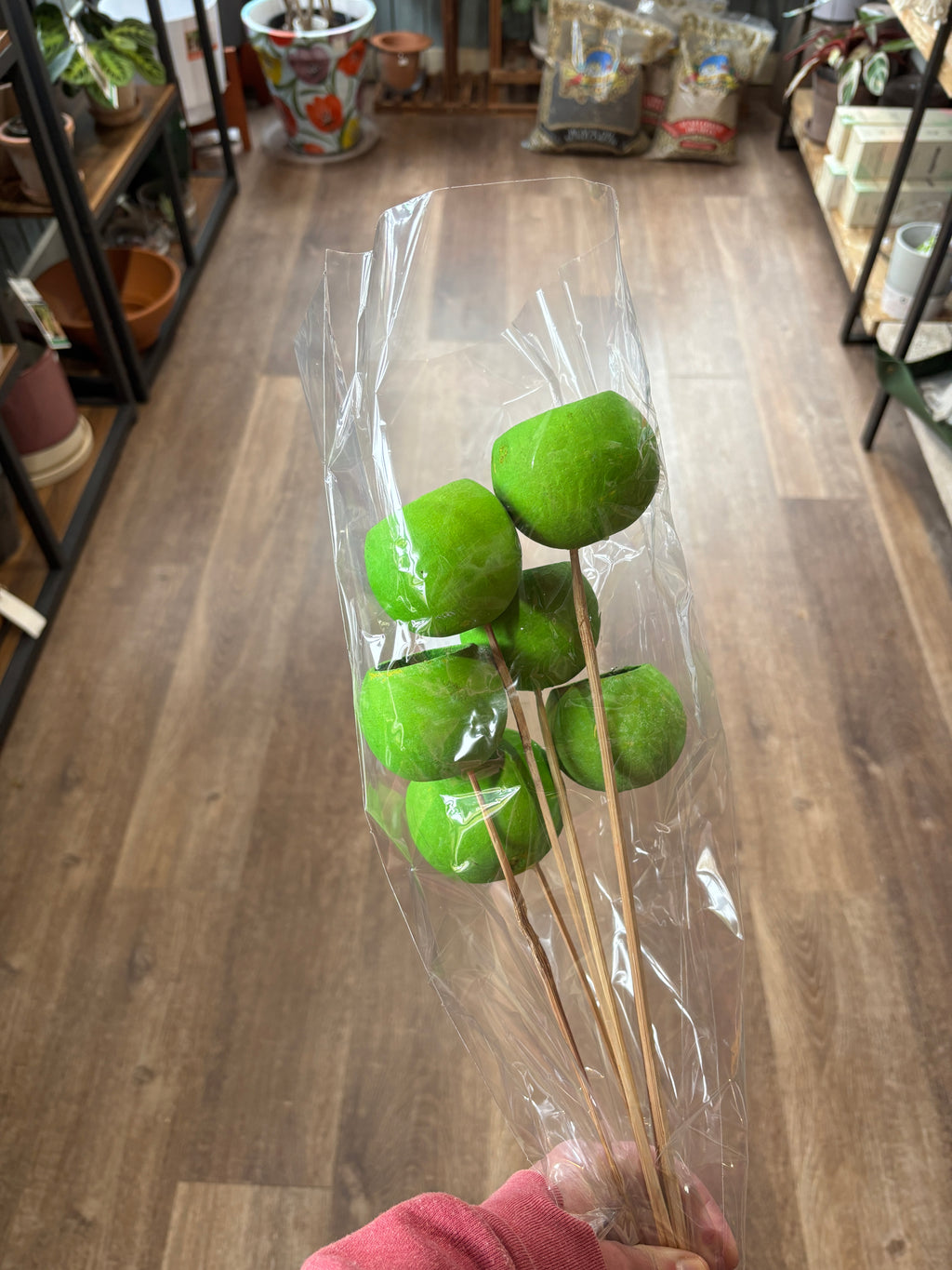 Bell Cup Basil Green 5-7/Pk