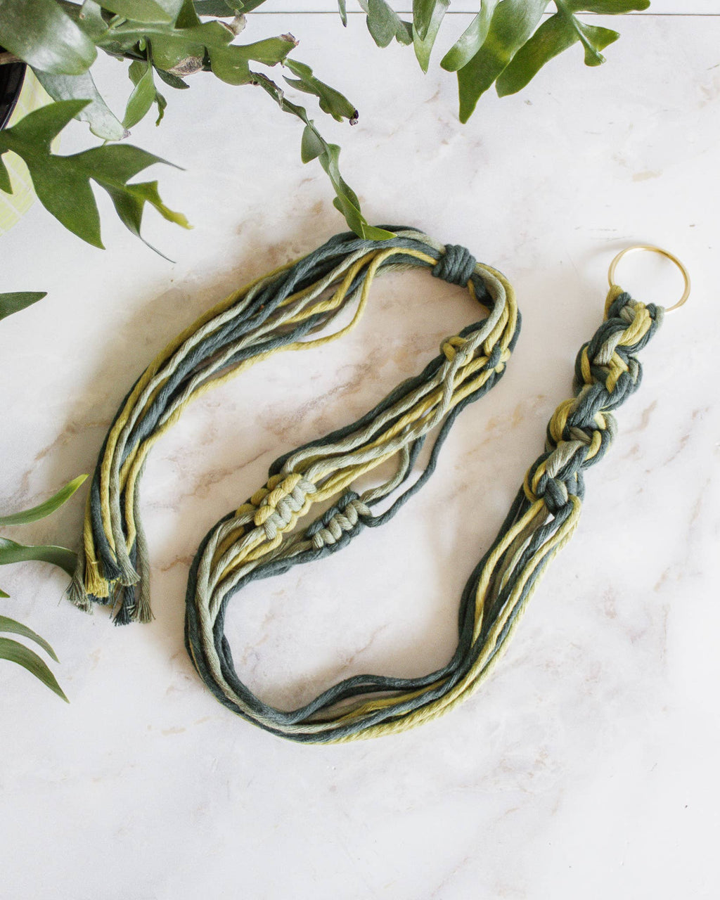 Chunky Twist Plant Hanger - Multicolor: Primrose