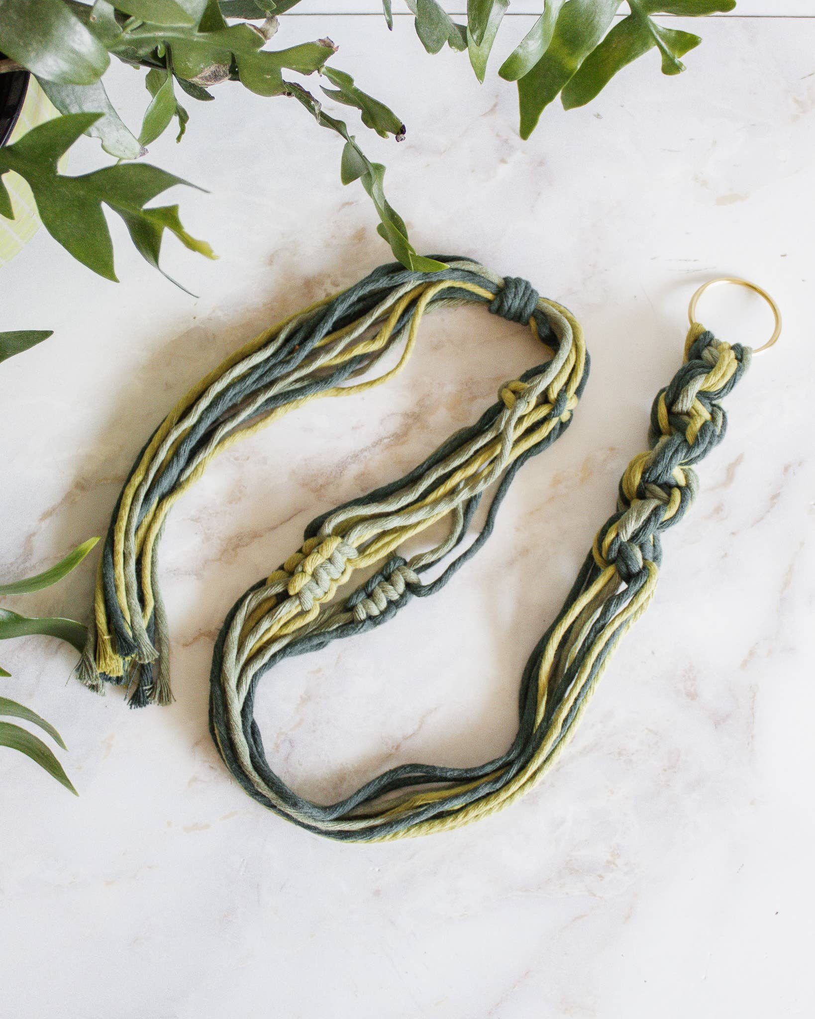 Chunky Twist Plant Hanger - Multicolor: Primrose