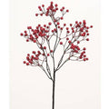 Berry, Pick Mini Red