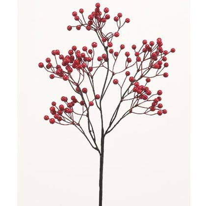 Berry, Pick Mini Red