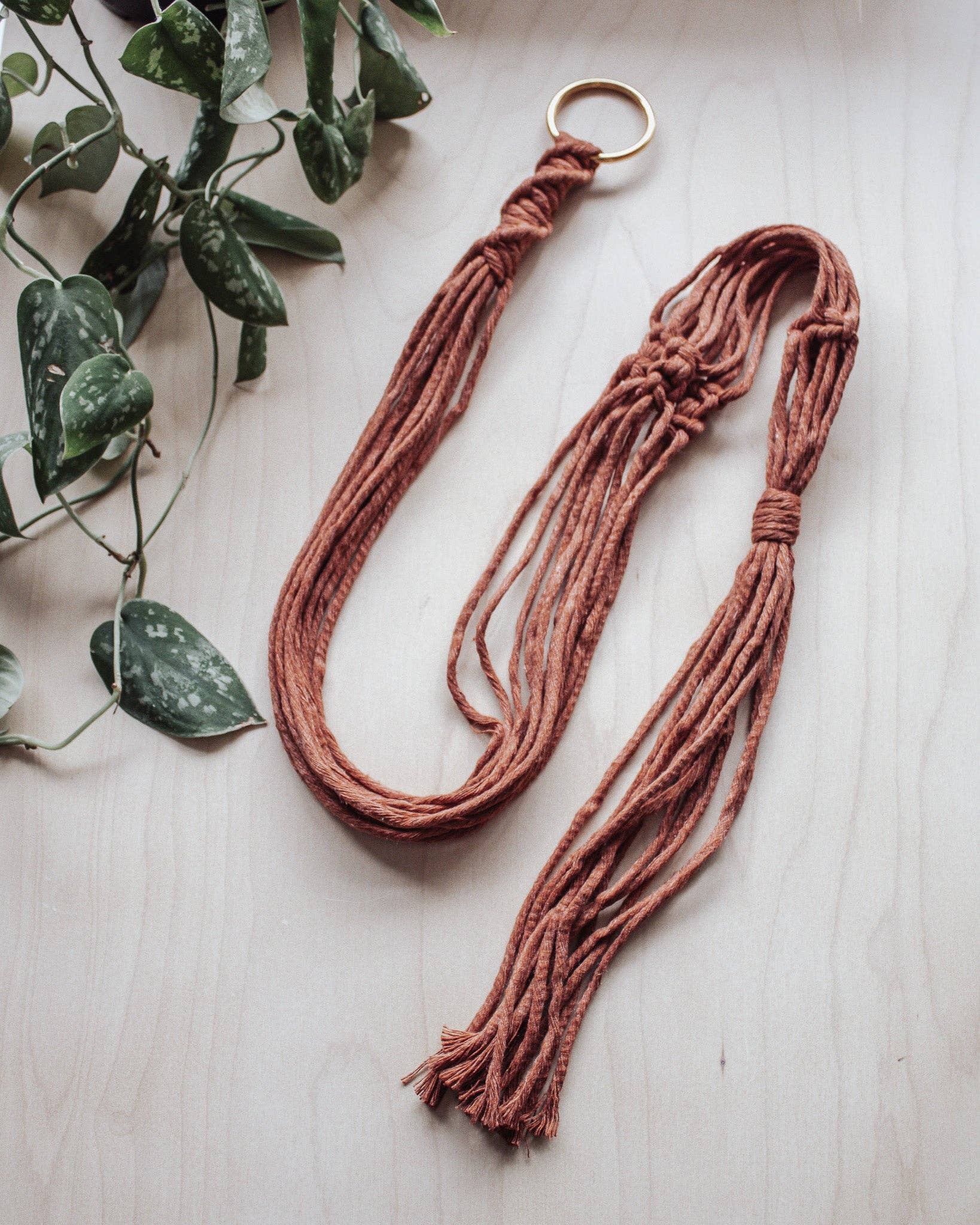 Basic Macrame Plant Hanger: Natural