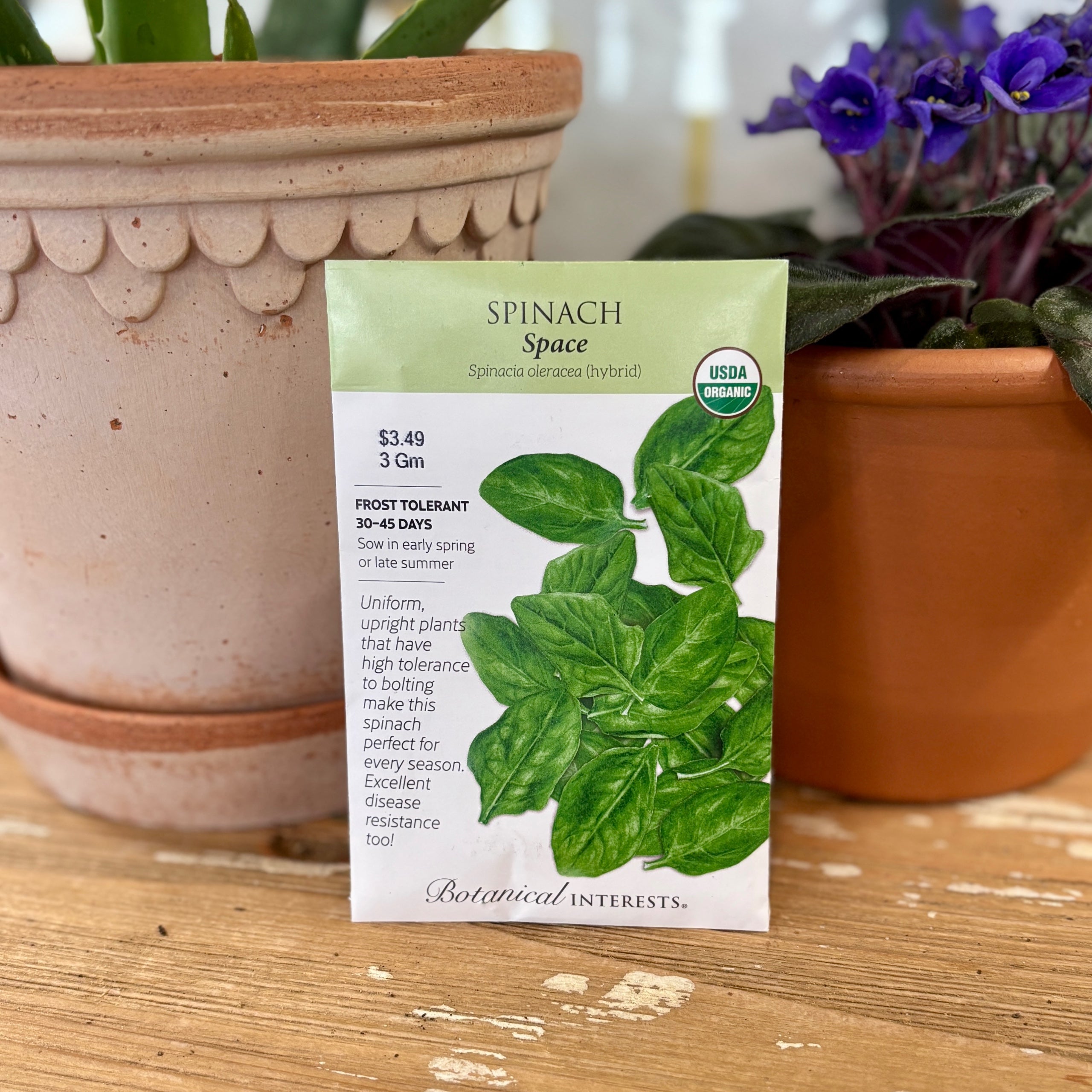 Spinach 'space'