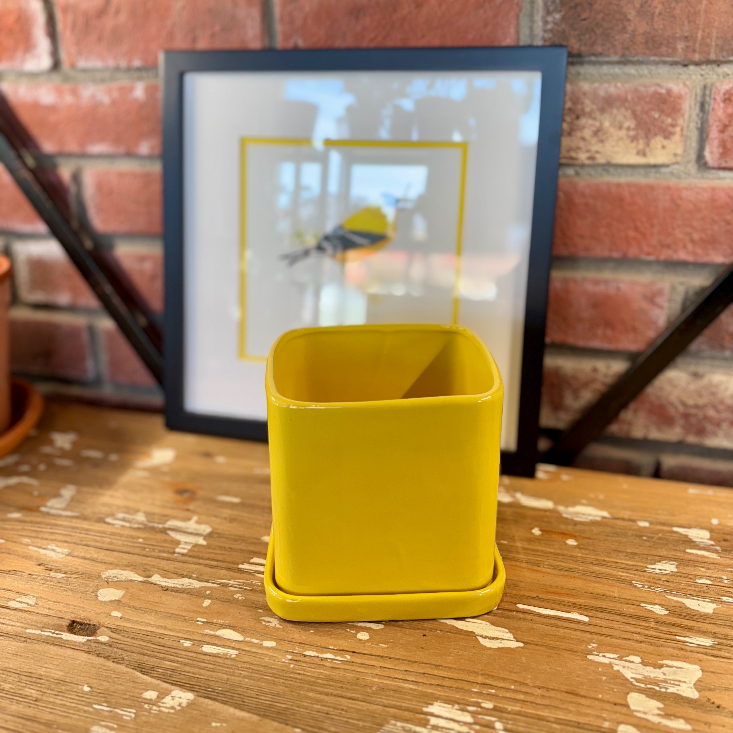 5" Yellow Svek Pot & Saucer