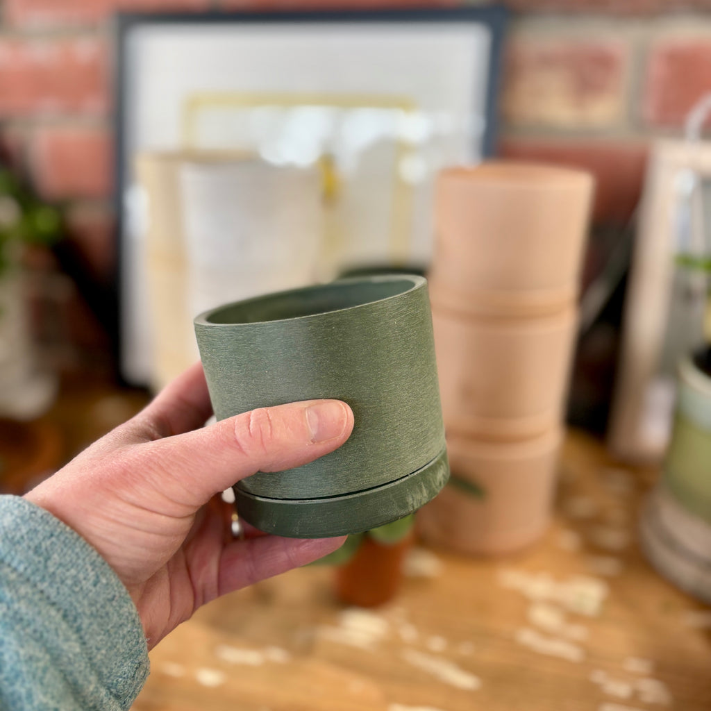 3.5" Earth Tone Mini Planters | Olive Sage