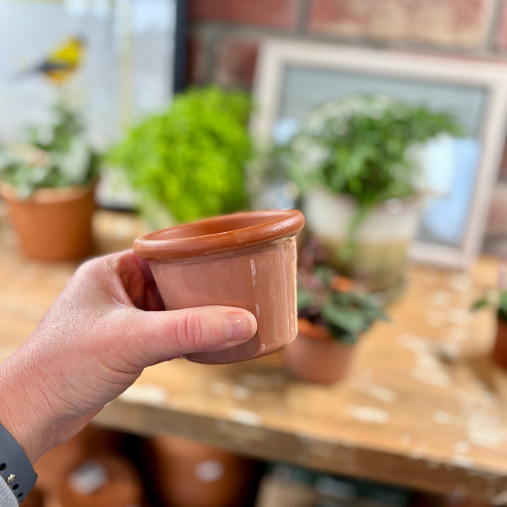 3.4" Rose Cylinder Glazed Terracotta Pot