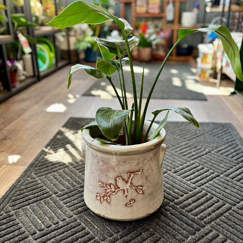 10" Birds On Branch Rustic White Crock Planter