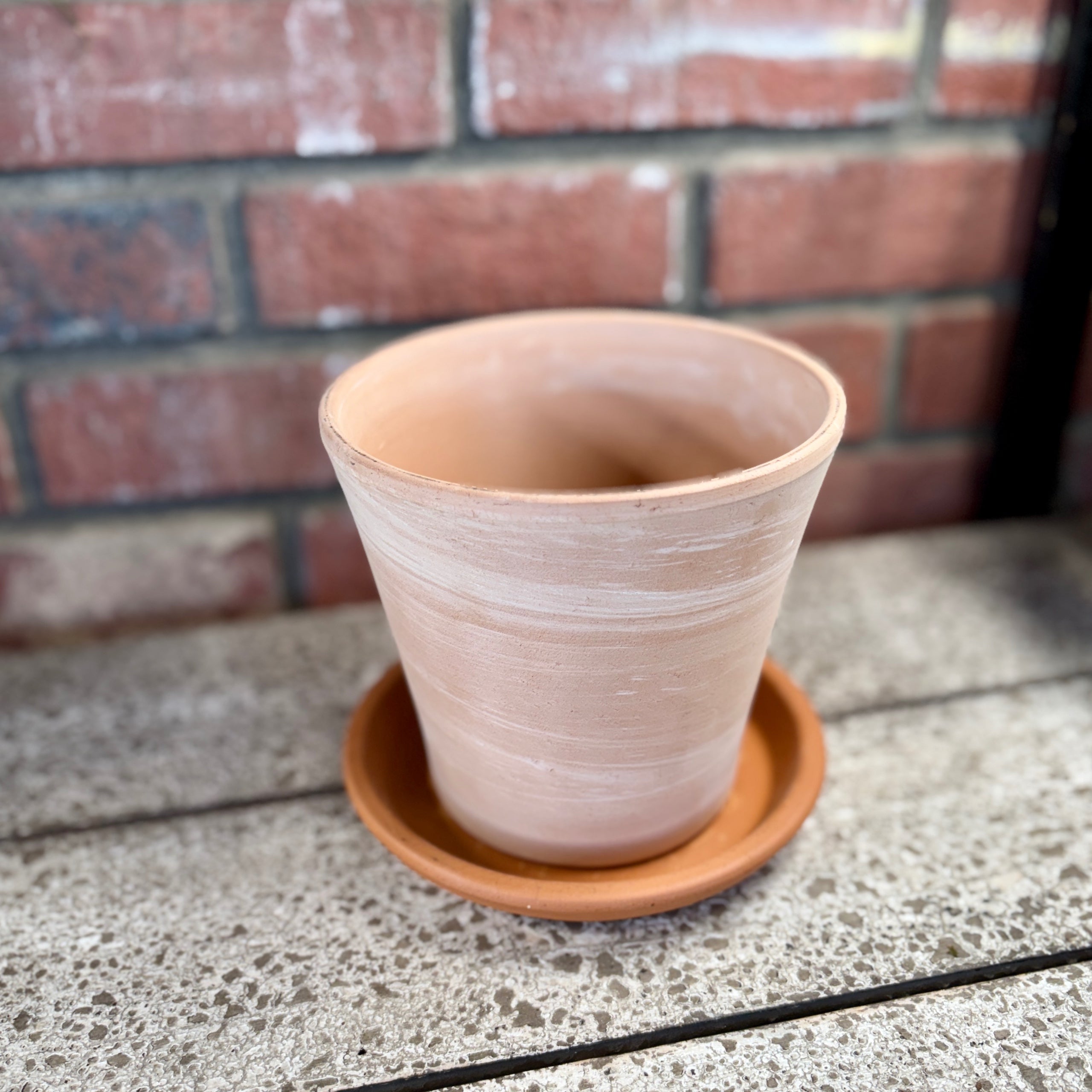 6" Terracotta White Stripe With Drainage Hole