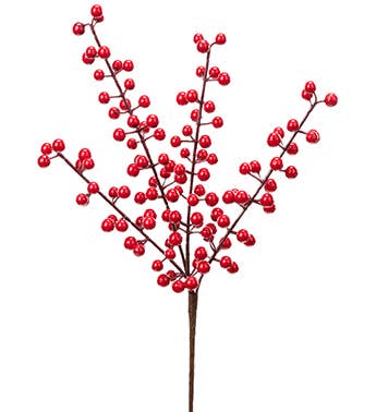 Pick, Red Berry Item # 41643