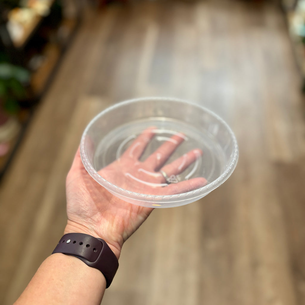 5 Inch Clear Nursery Saucer