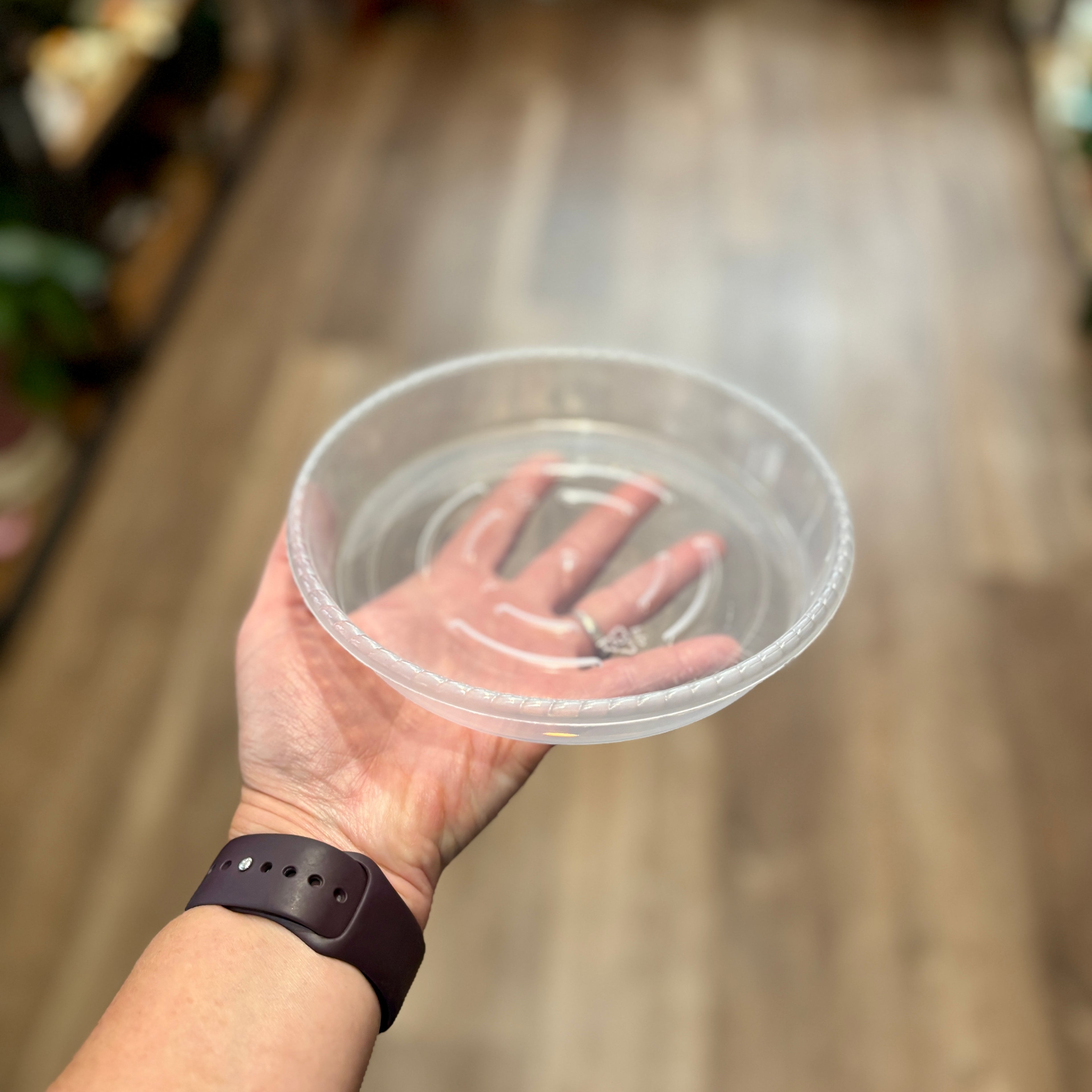 5 Inch Clear Nursery Saucer