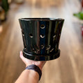 6.75" Black Glazed Orchid Pot