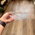 5 Inch Clear Nursery Saucer