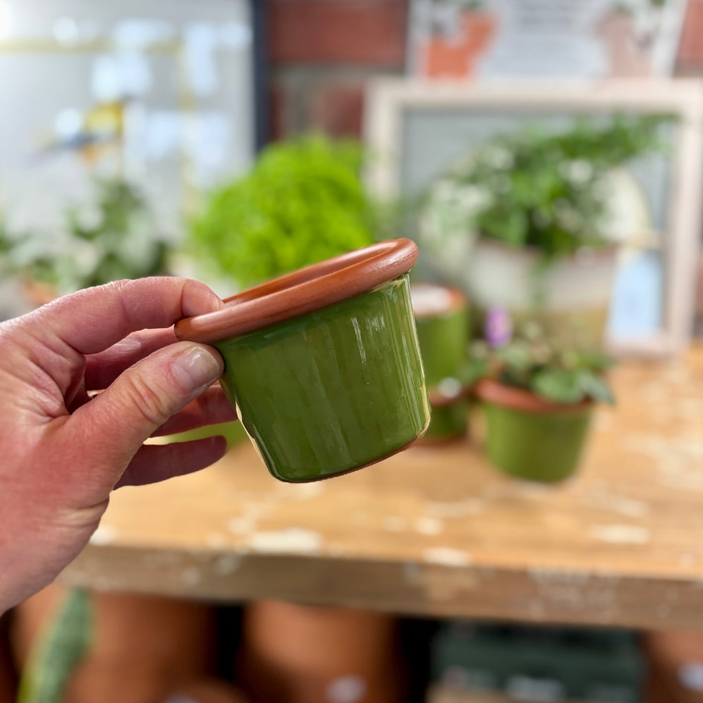 3.4" Apple Green Cylinder Terracotta Glazed Pot