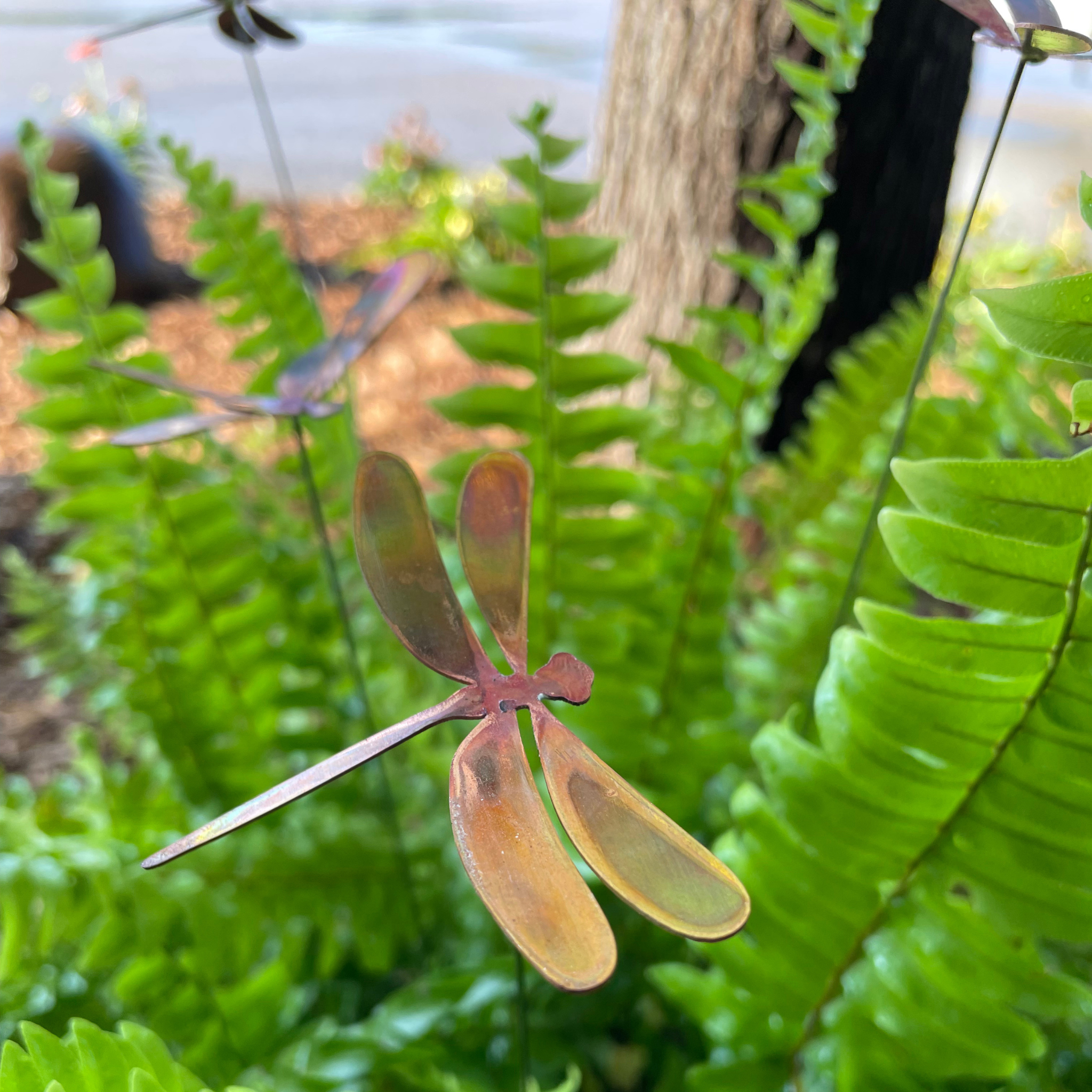 Medium Natural Copper Dragonflies