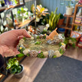 Pond Friends | Fairy Garden