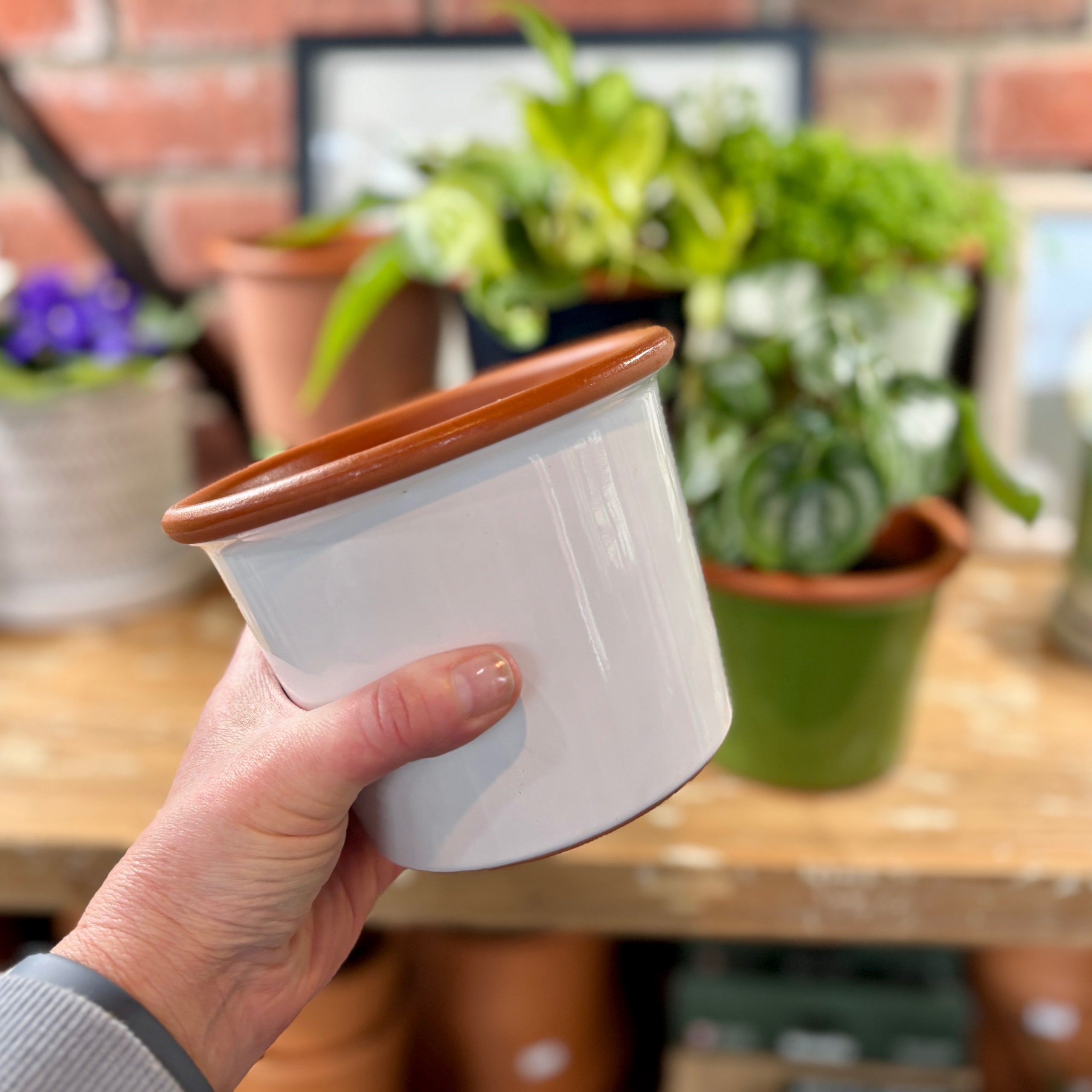5.5" White Cylinder Glazed Terracotta
