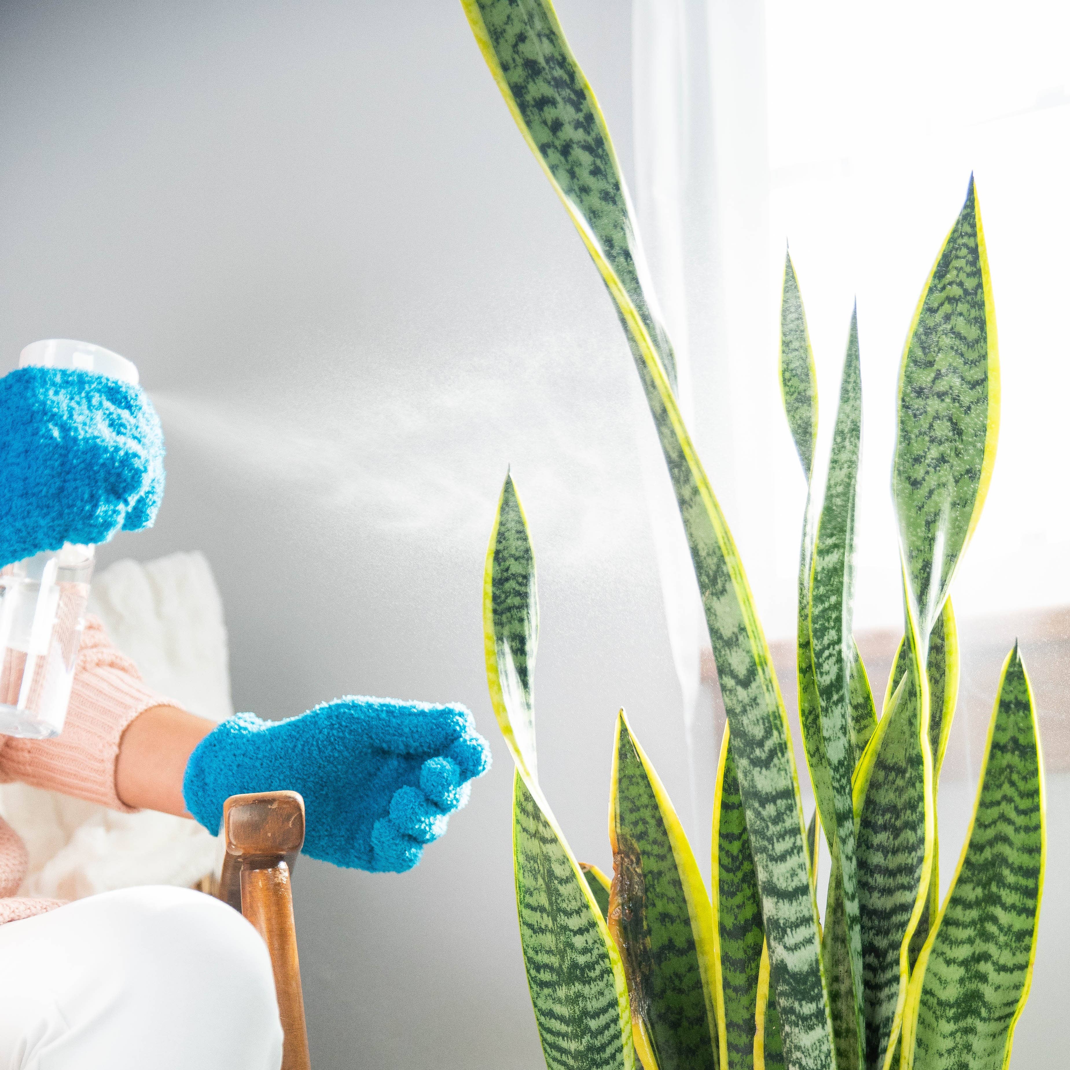 Plant Care Mister For Leaf Cleaning And Indoor Pest Control