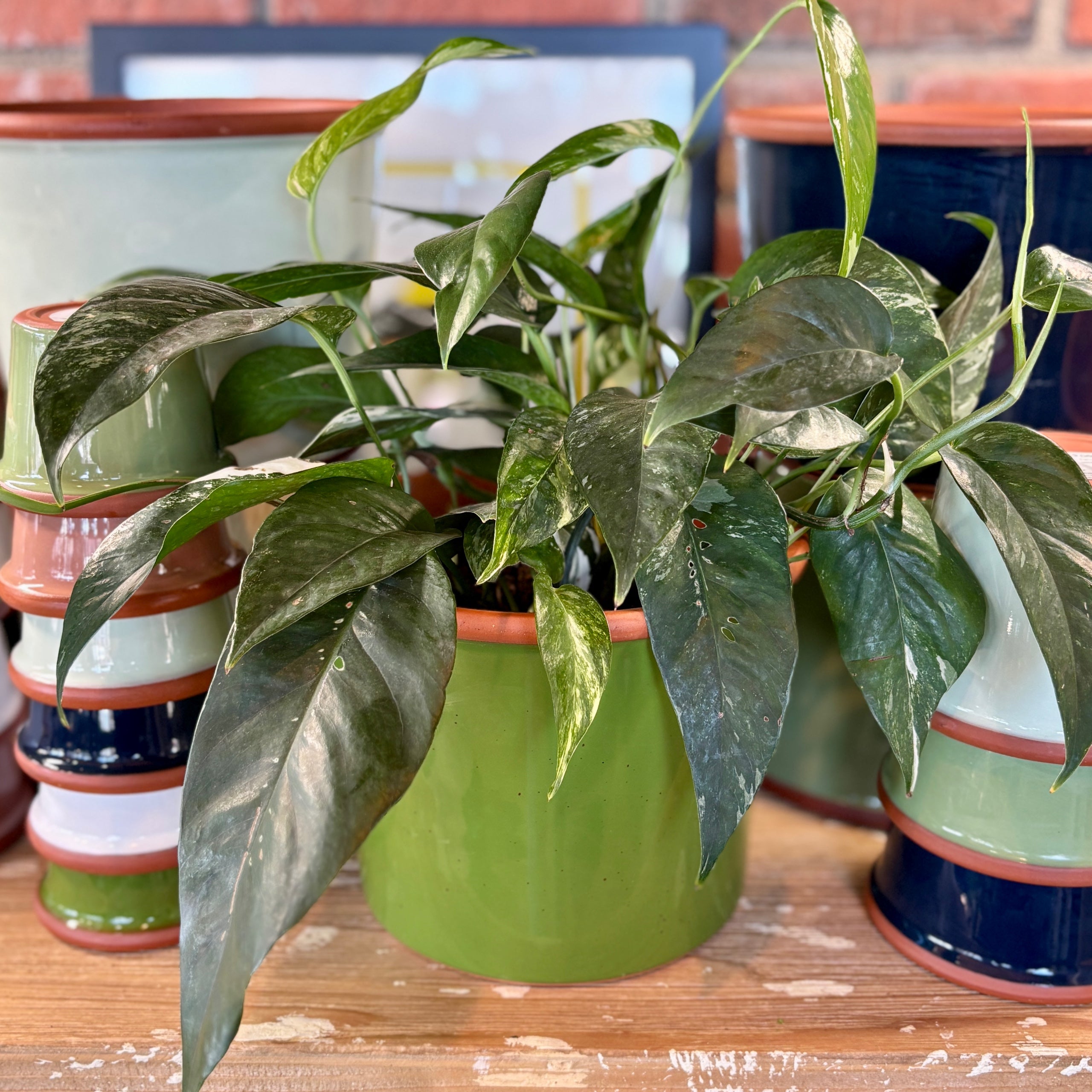 7.7" Apple Green Cylinder Glazed Terracotta Pot