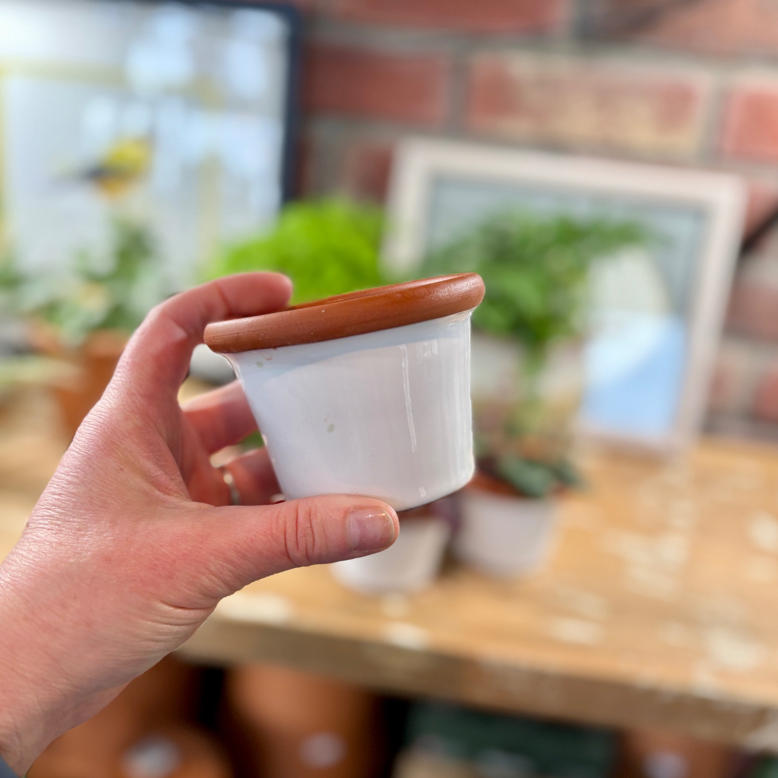 3.4" White Cylinder Glazed Terracotta Pot