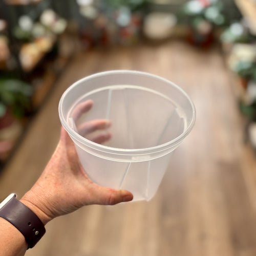 6 Inch Clear Nursery Grower's Pot