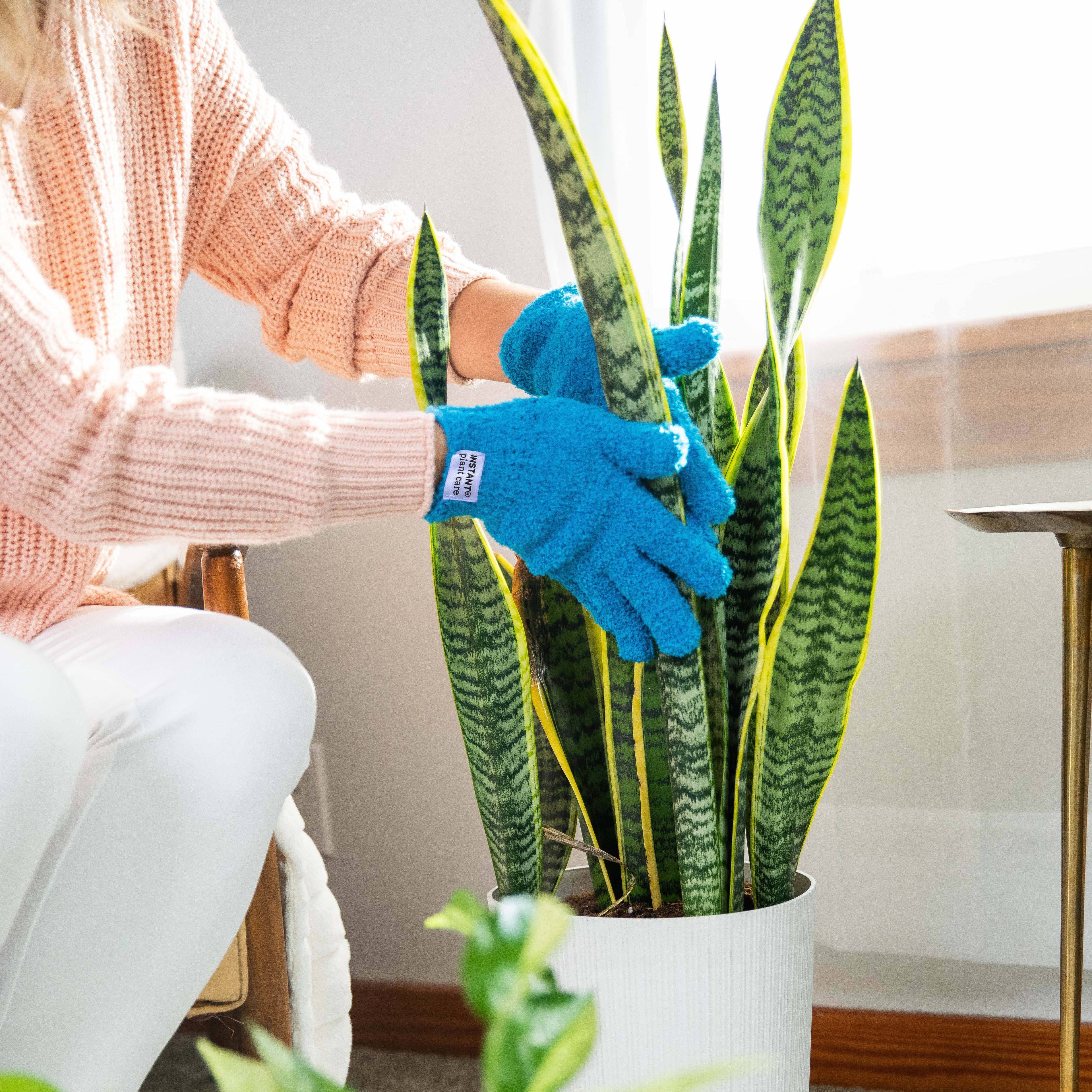 Micro-Fiber Gloves For Cleaning Houseplants + Indoor Gardens