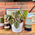 7.7" White Cylinder Glazed Terracotta Pot