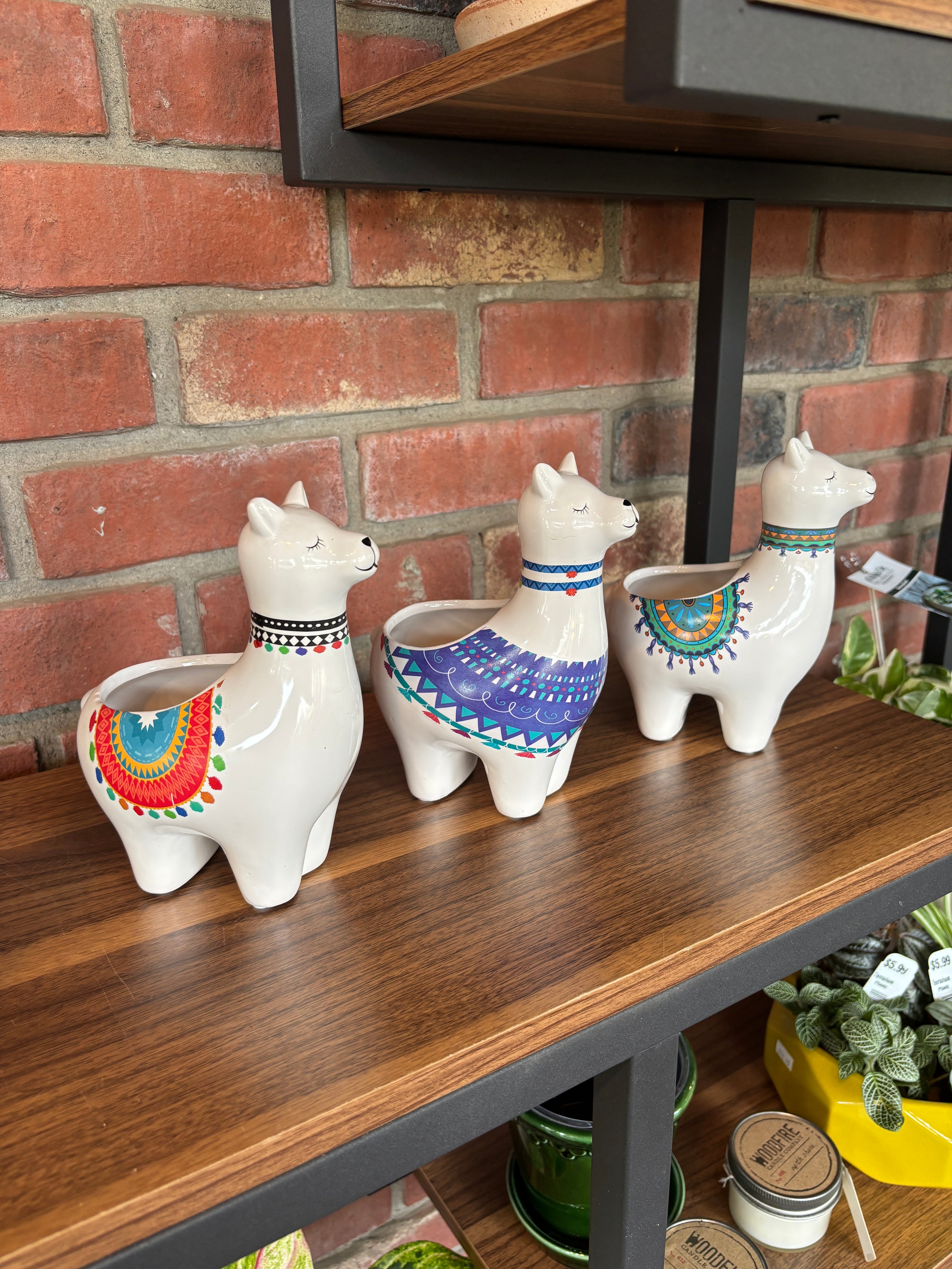 7" Llama Assorted Pottery