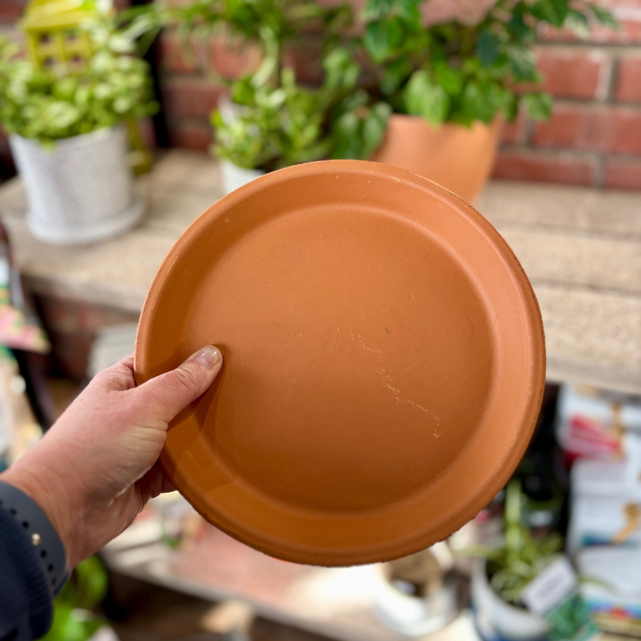 8" Terracotta Saucer