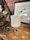 4.5" White Ryan Self-Watering Pot & Saucer