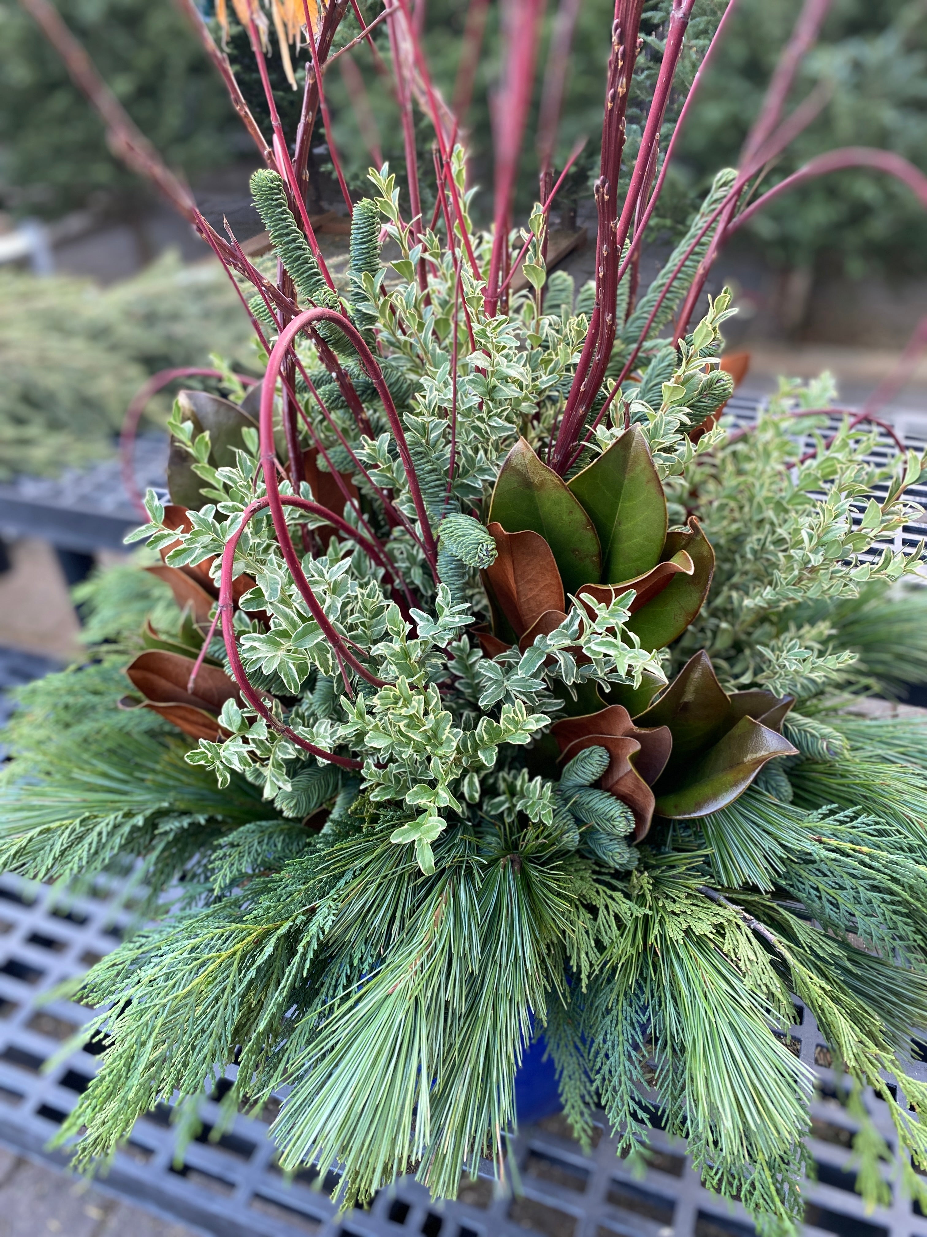 Design Your Own Holiday Porch Pot - Nov. 15 @ 11Am