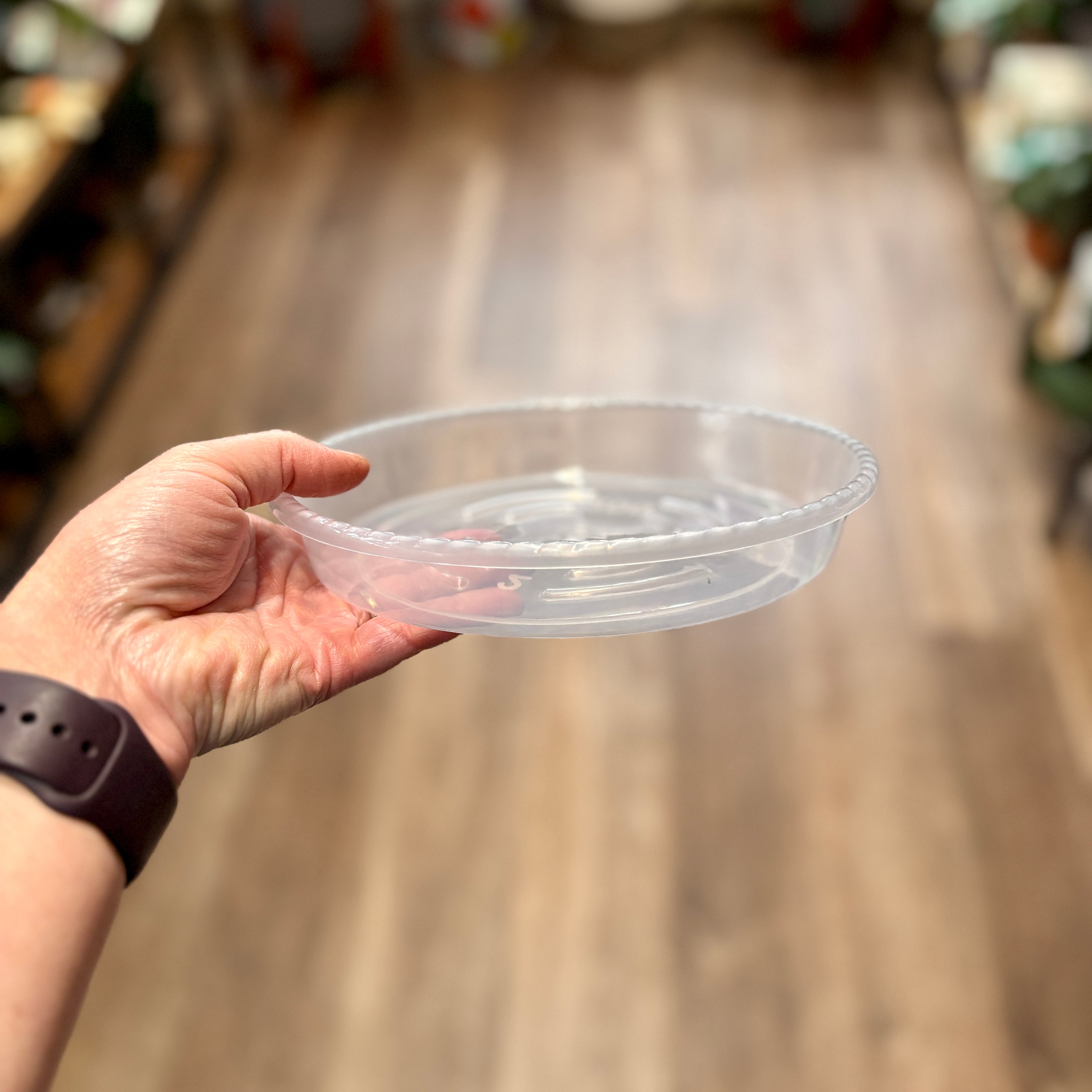 7 Inch Clear Nursery Saucer