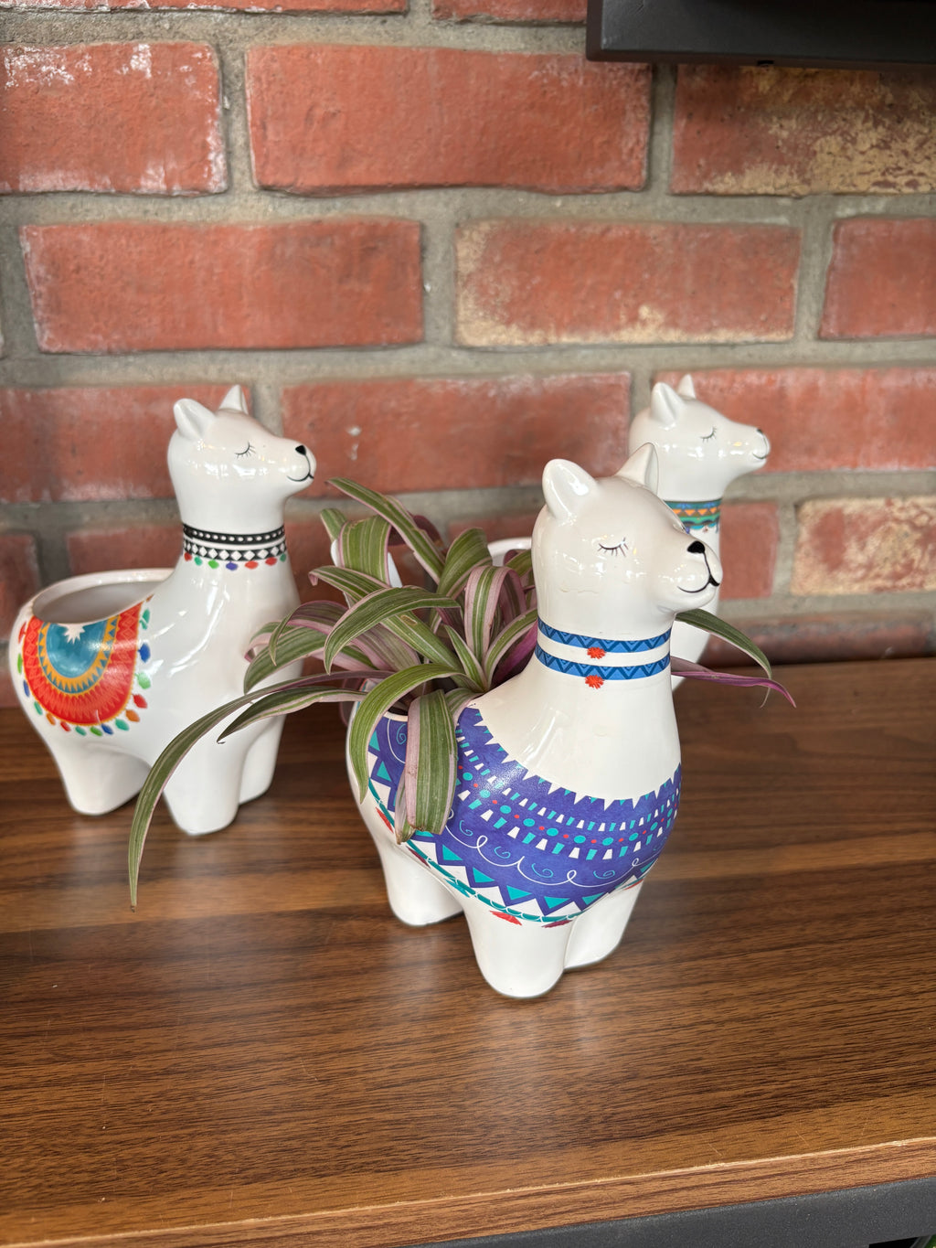 7" Llama Assorted Pottery