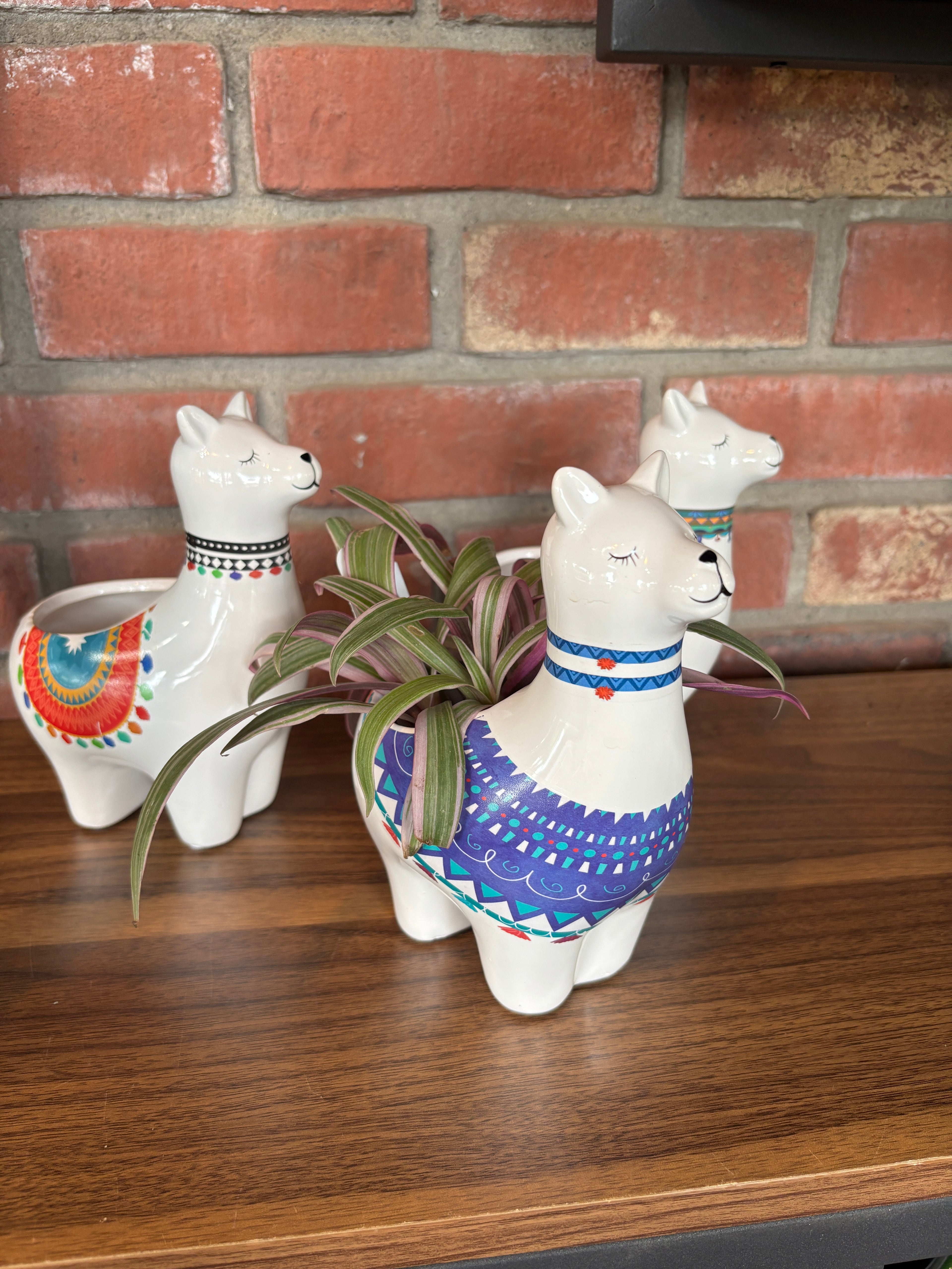 7" Llama Assorted Pottery