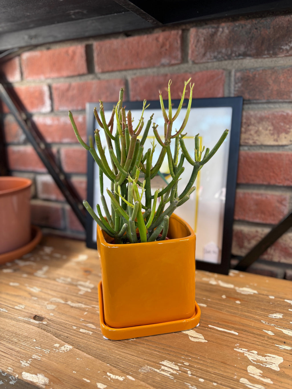 5" Orange Svek Pot & Saucer