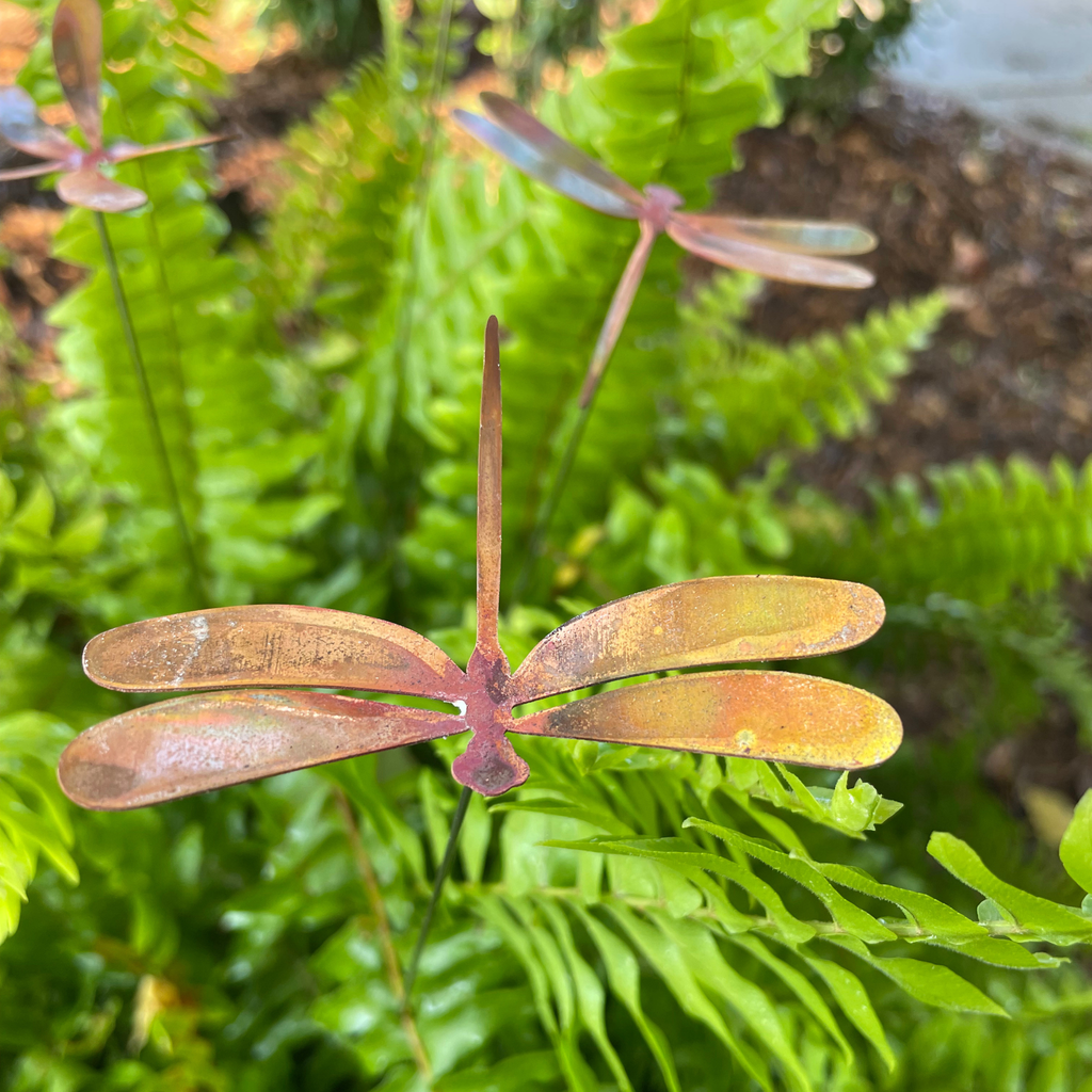 Medium Natural Copper Dragonflies
