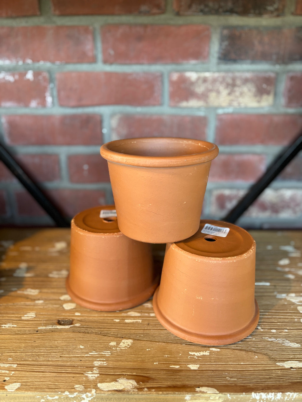 4" Rim Cylinder Terracotta Pot