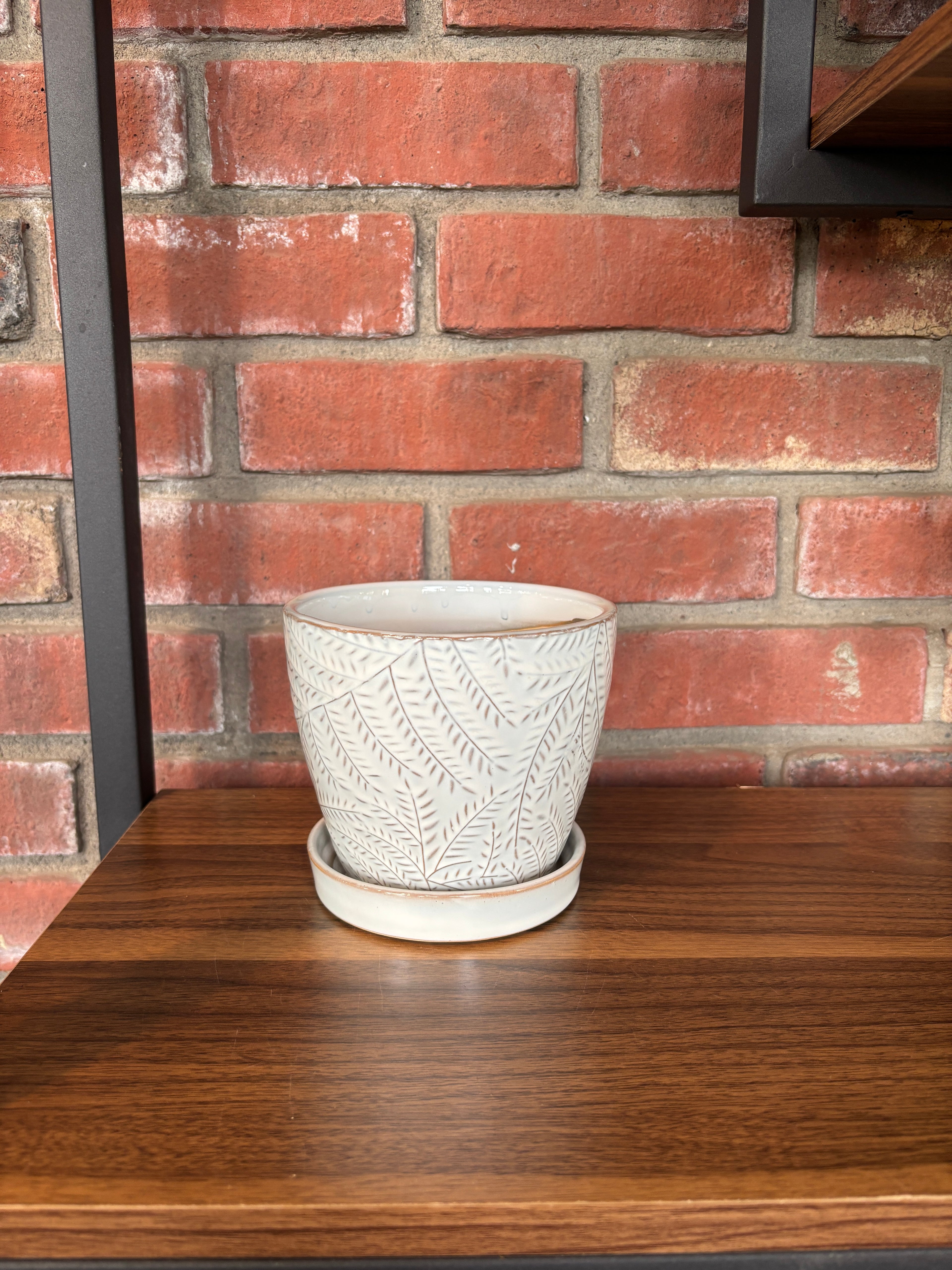 4.5" White Gray Fern Pot W/ Attached Saucer